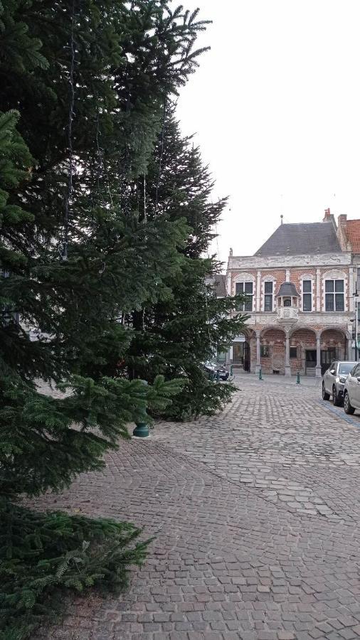 Les Reserves Du Beffroi Aire-sur-la-Lys Exteriör bild